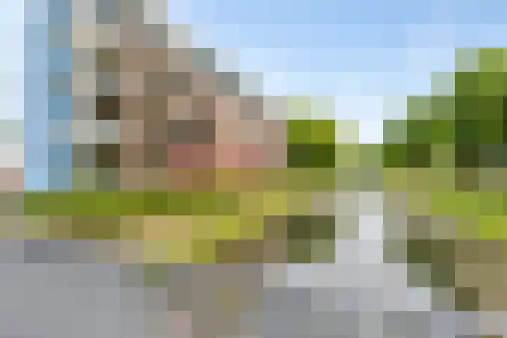 Horatiusstraat 24 Rotterdam thumbnail 30