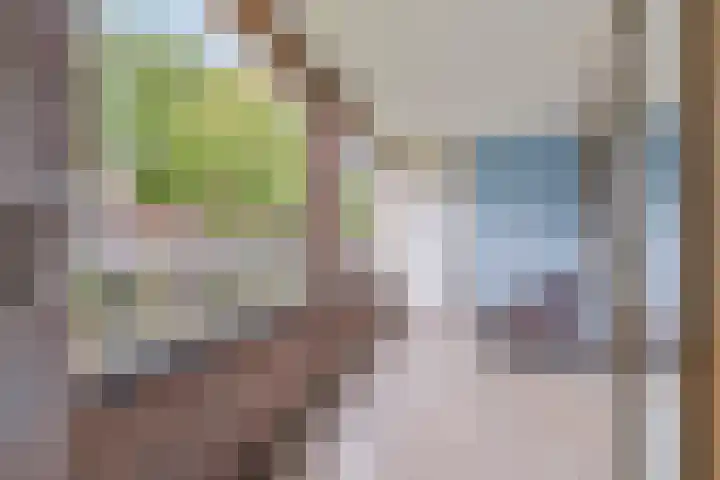 Horatiusstraat 24 Rotterdam thumbnail 8