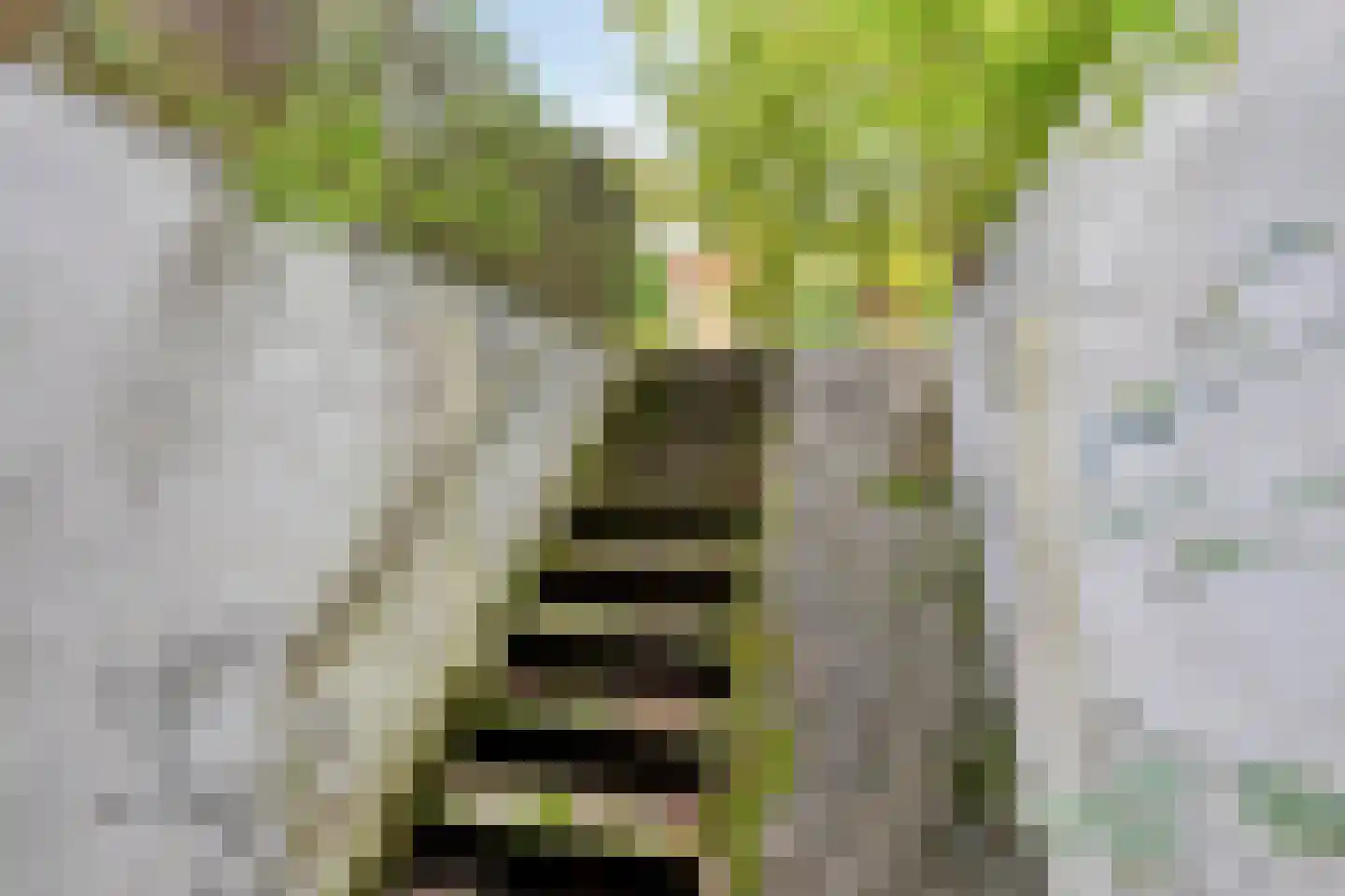Horatiusstraat 6 Heerlen thumbnail 36