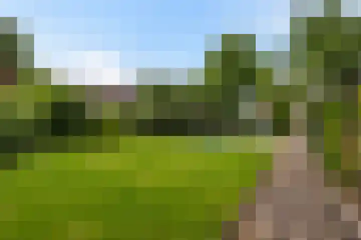 Hordaland 18 Capelle aan den IJssel thumbnail 48
