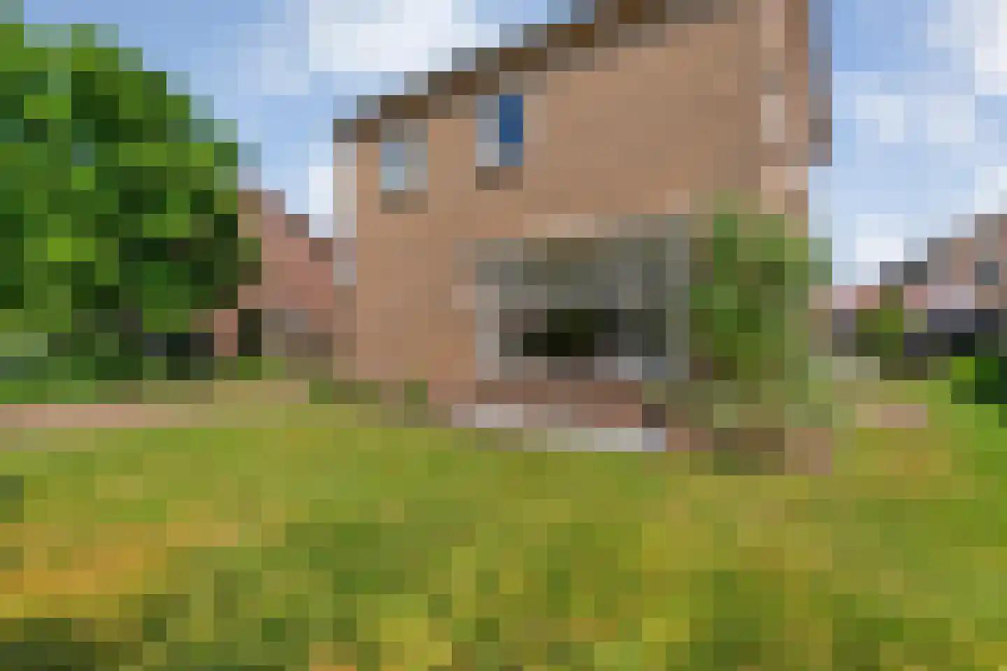 Hordelmansweg 11 Heeten thumbnail 11