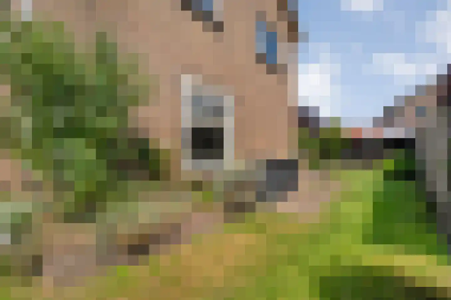 Hordelmansweg 11 Heeten thumbnail 12