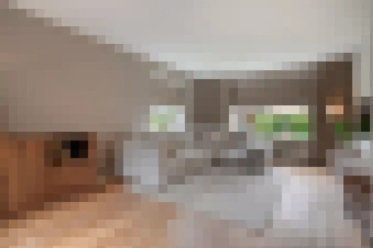Hordelmansweg 11 Heeten thumbnail 16