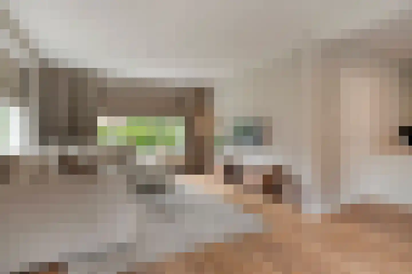 Hordelmansweg 11 Heeten thumbnail 17