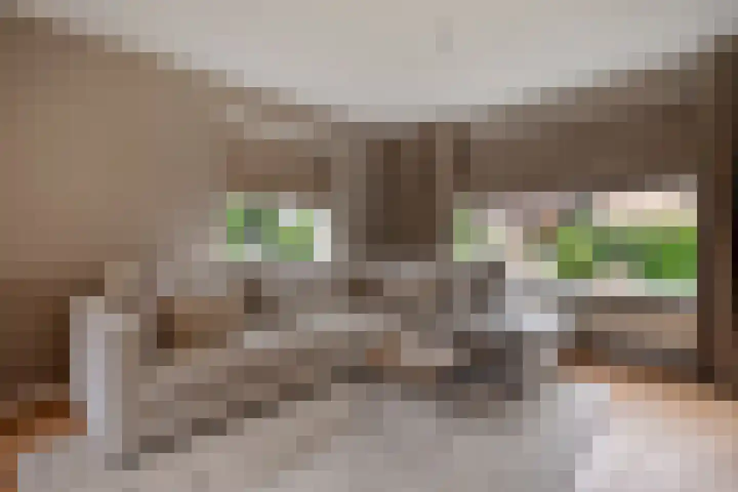 Hordelmansweg 11 Heeten thumbnail 18