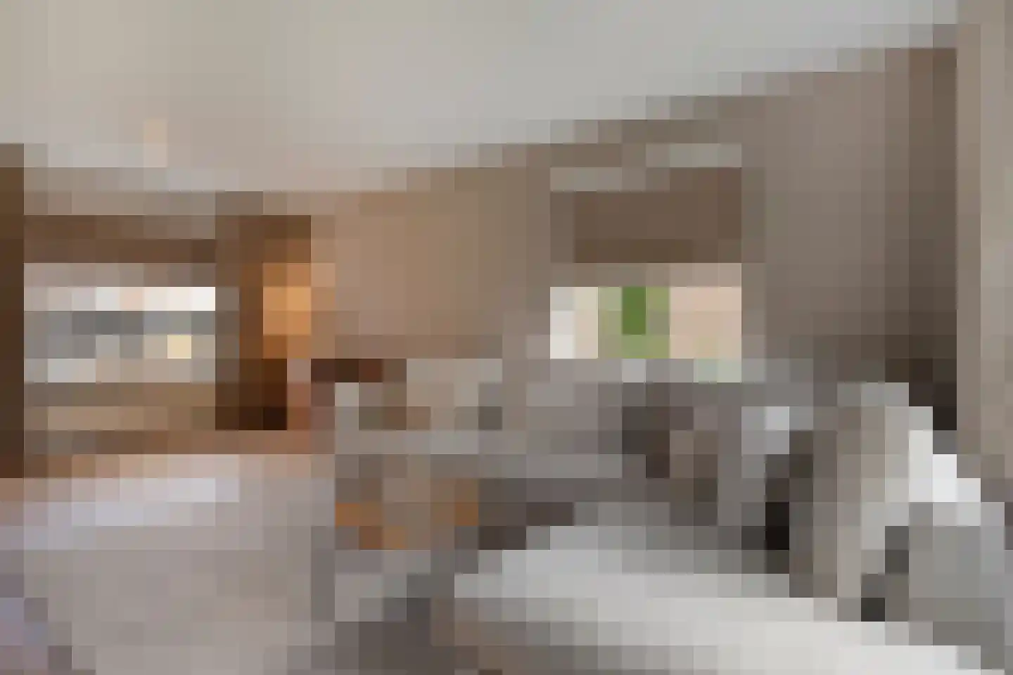 Hordelmansweg 11 Heeten thumbnail 19