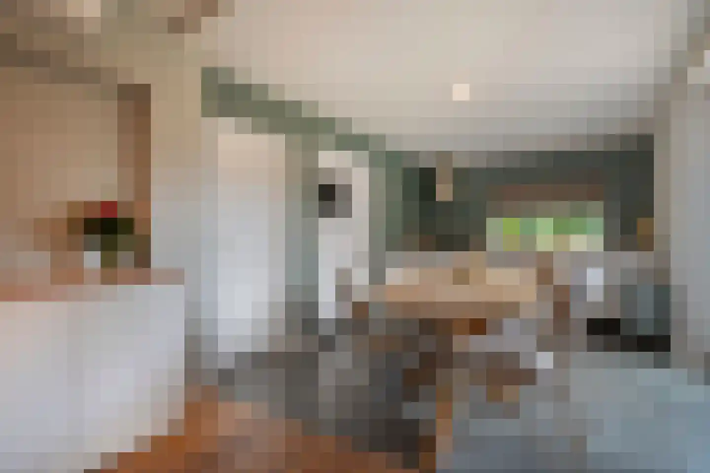 Hordelmansweg 11 Heeten thumbnail 22