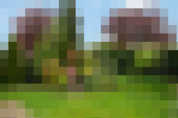 Hordelmansweg 11 Heeten thumbnail 22
