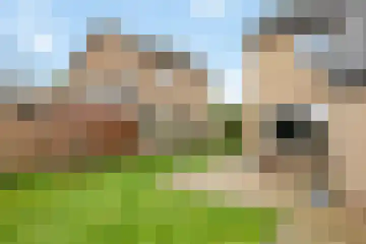 Hordelmansweg 11 Heeten thumbnail 24