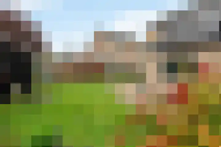 Hordelmansweg 11 Heeten thumbnail 25