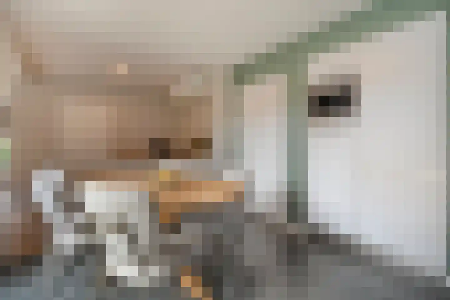 Hordelmansweg 11 Heeten thumbnail 28