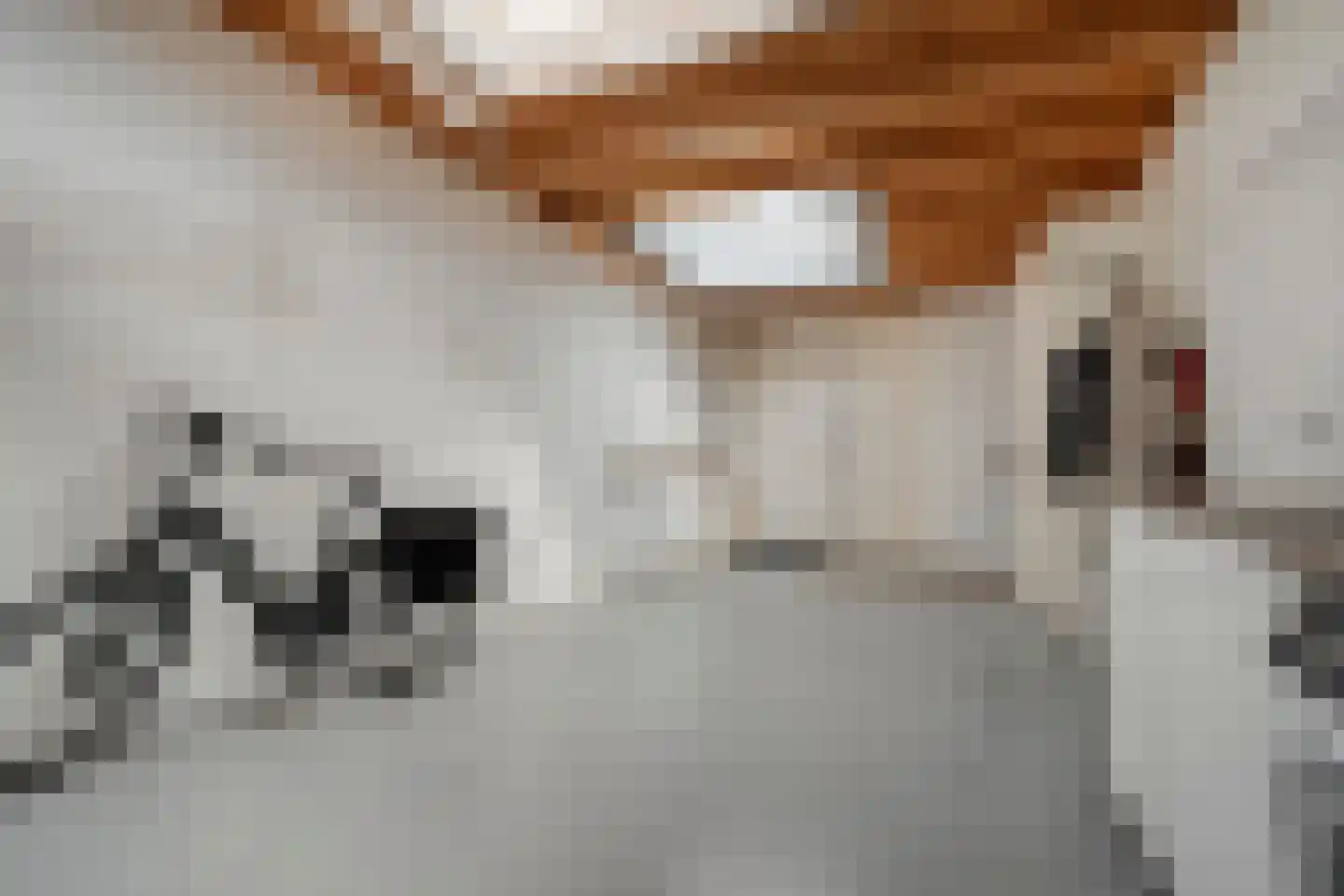 Hordelmansweg 11 Heeten thumbnail 39