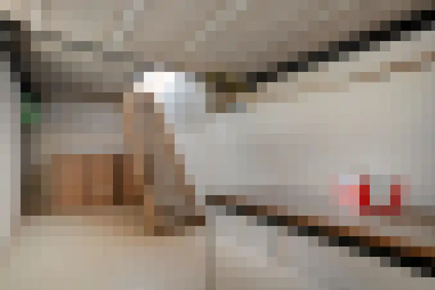 Hordelmansweg 11 Heeten thumbnail 42