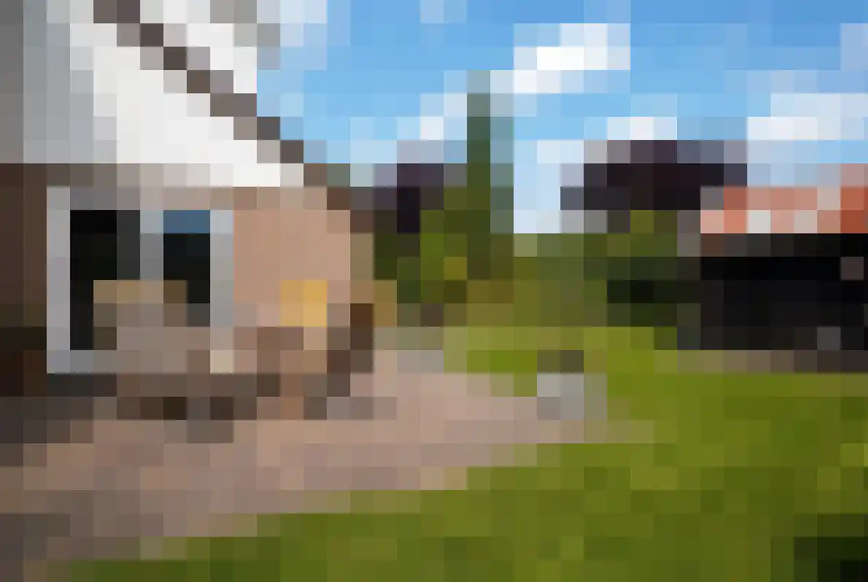Hordelmansweg 11 Heeten thumbnail 47