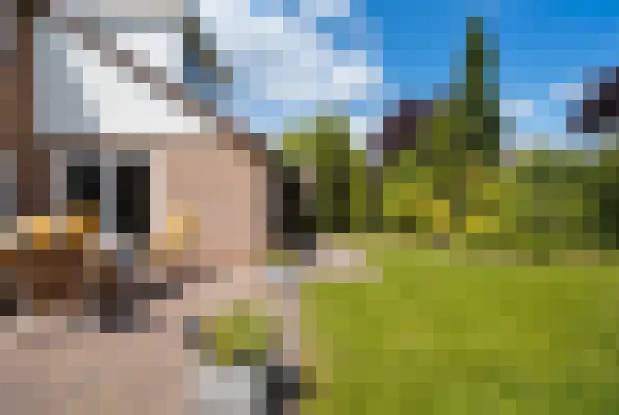 Hordelmansweg 11 Heeten thumbnail 48