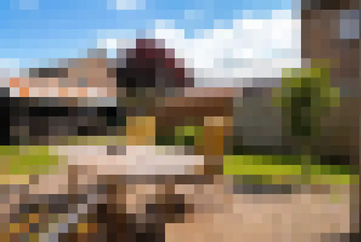 Hordelmansweg 11 Heeten thumbnail 49