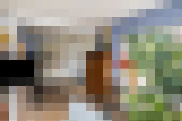 Hordelmansweg 11 Heeten thumbnail 9