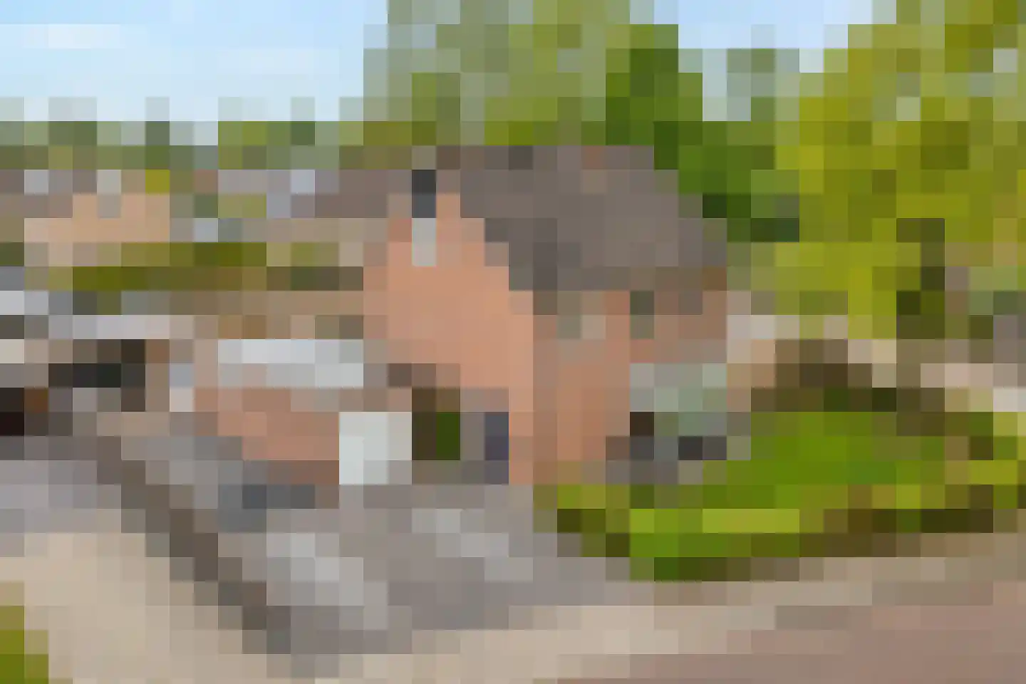 Hordelmansweg 2 Heeten foto 2