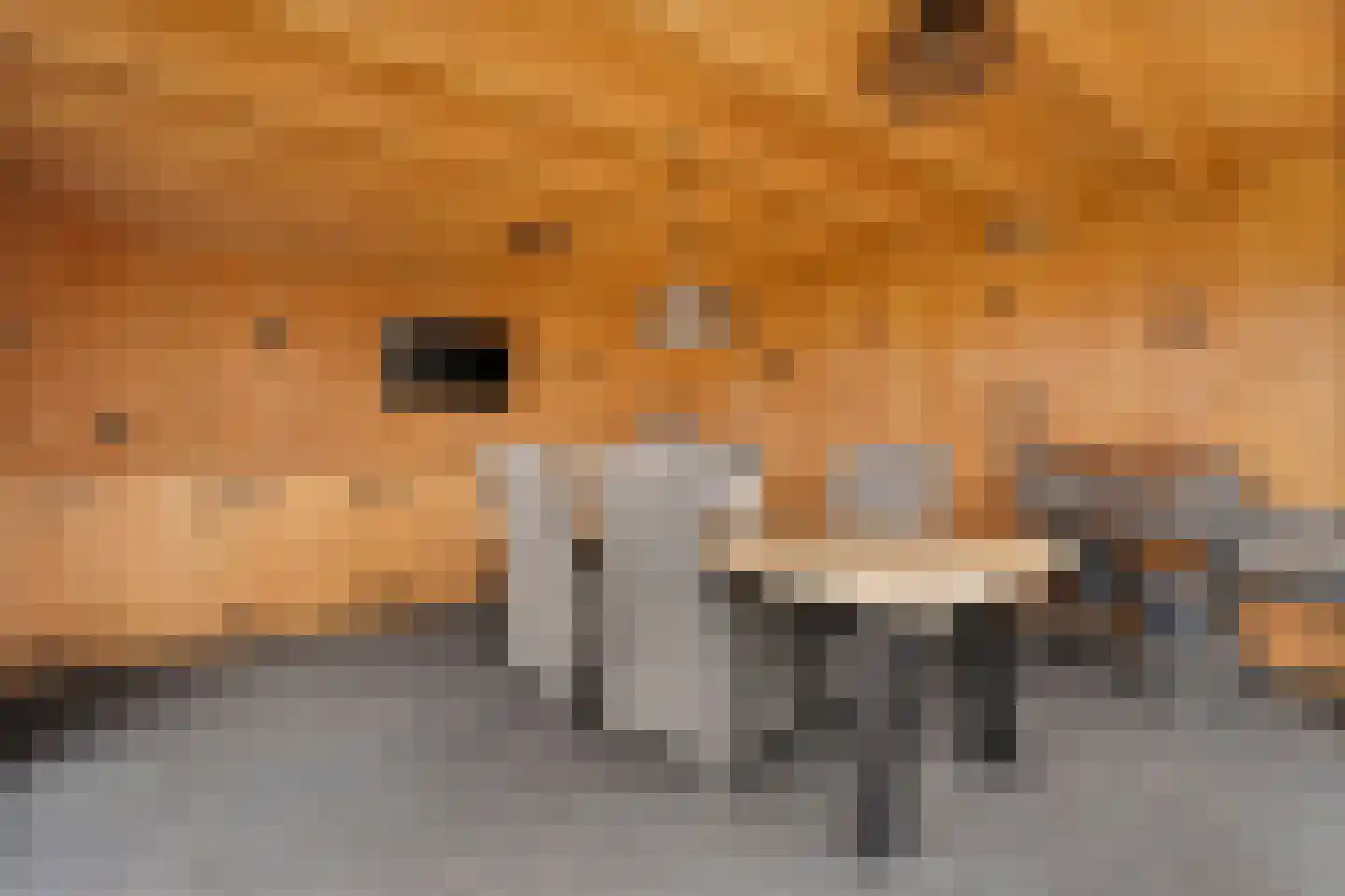 Hordelmansweg 2 Heeten thumbnail 44