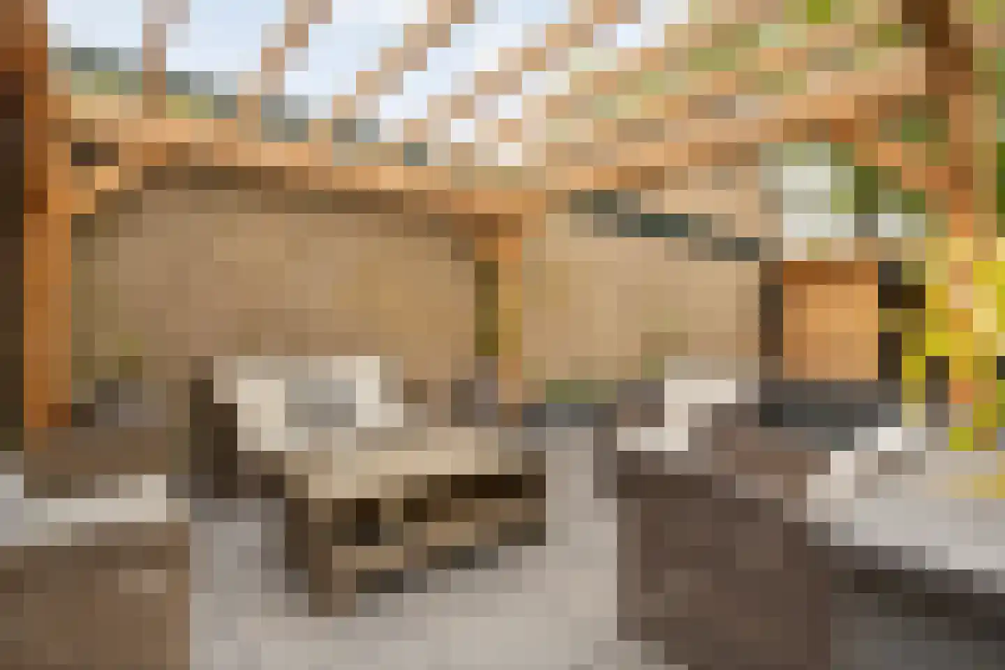 Hordelmansweg 2 Heeten thumbnail 49