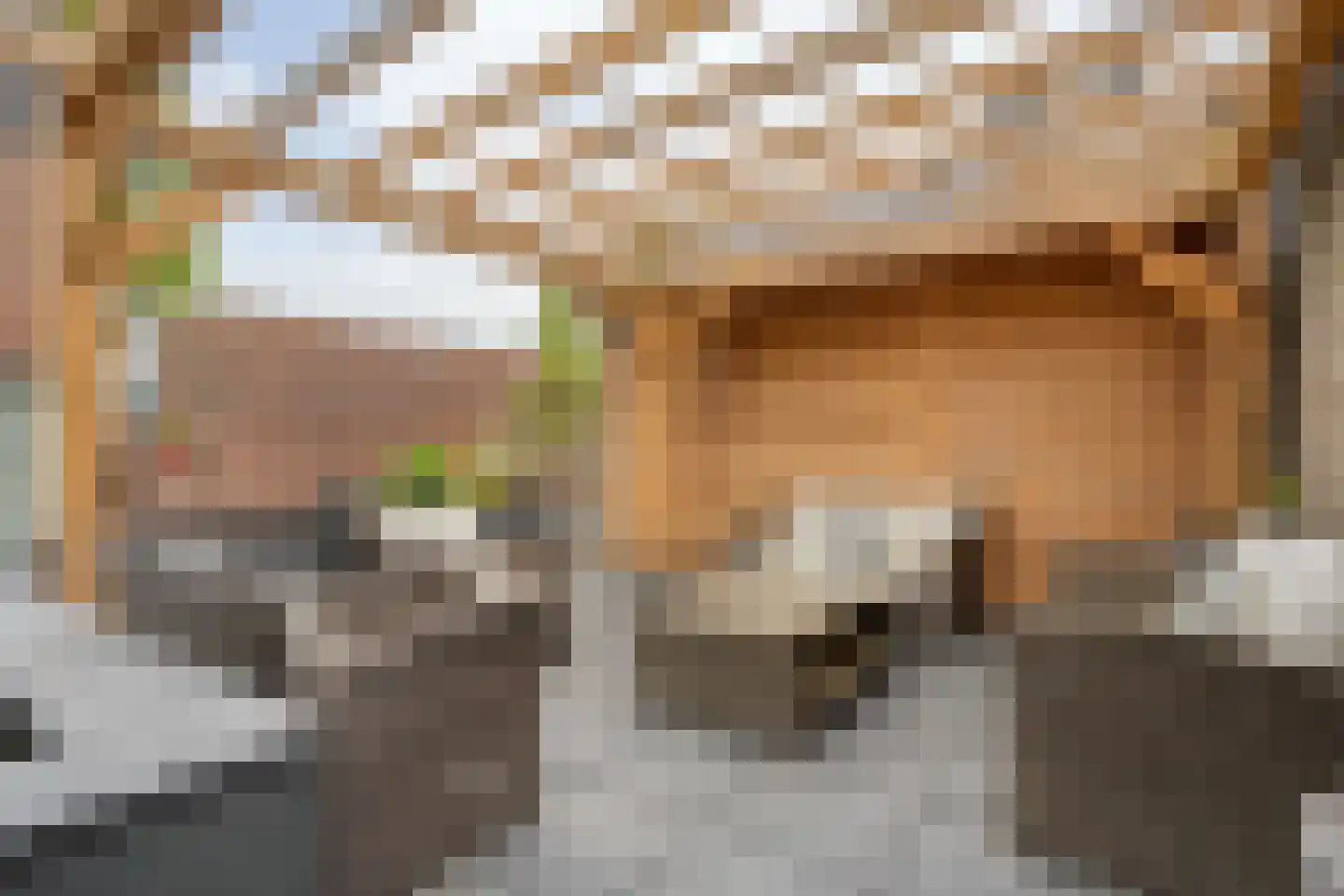 Hordelmansweg 2 Heeten thumbnail 50