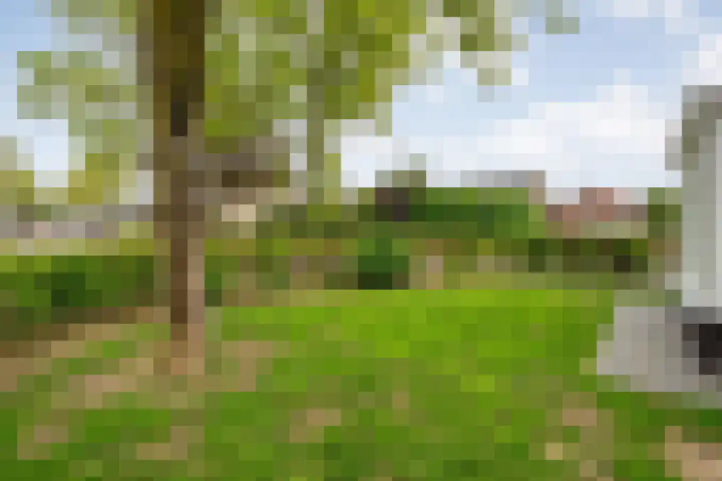 Hordelmansweg 2 Heeten thumbnail 55