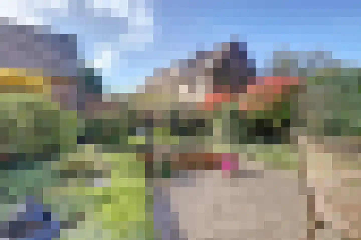 Hordenweg 31 Wijk bij Duurstede thumbnail 30