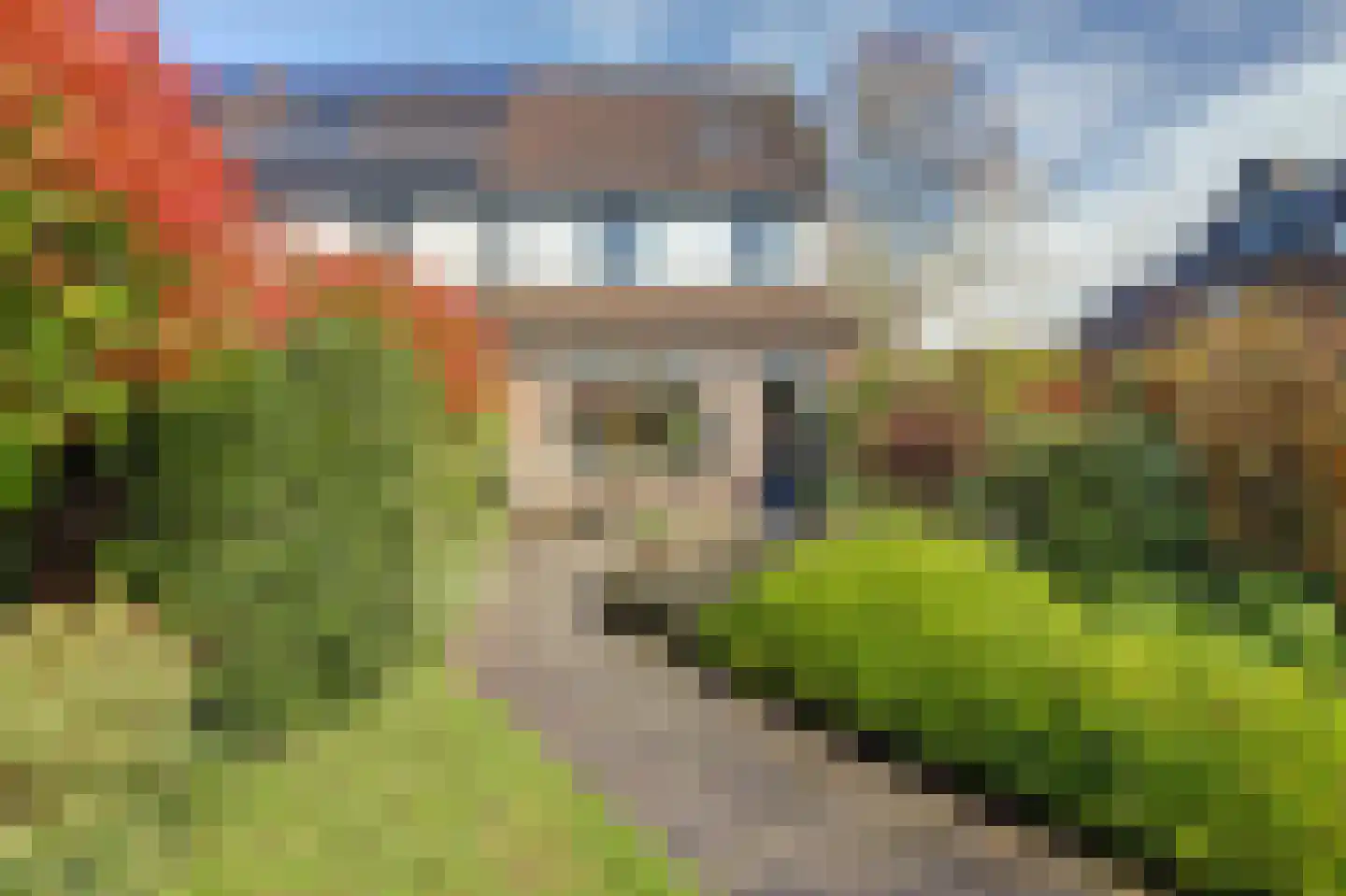 Hordenweg 31 Wijk bij Duurstede thumbnail 35