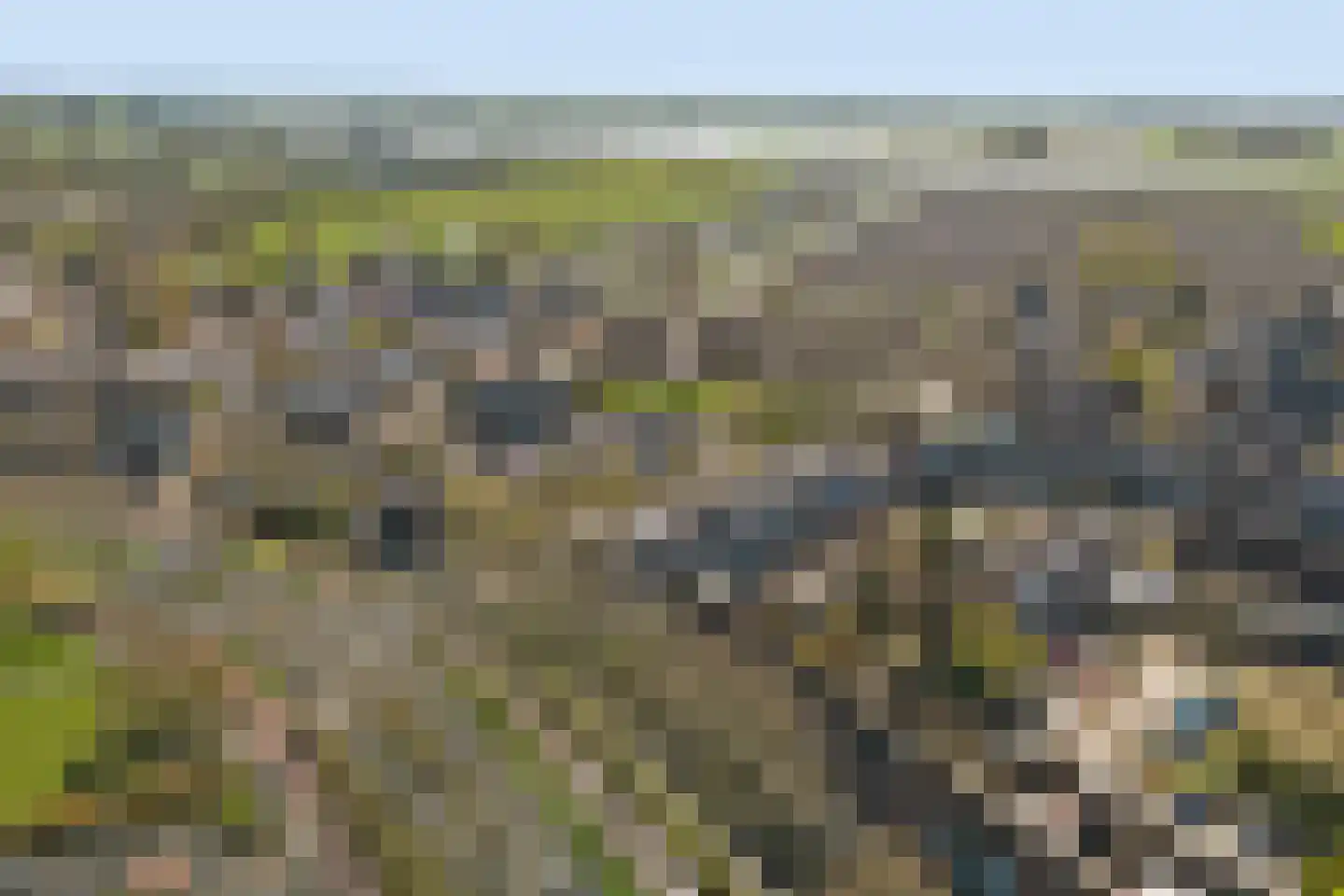 Hordenweg 31 Wijk bij Duurstede thumbnail 48