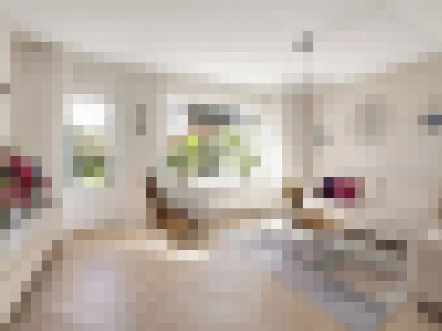Hordenweg 31 Wijk bij Duurstede thumbnail 5