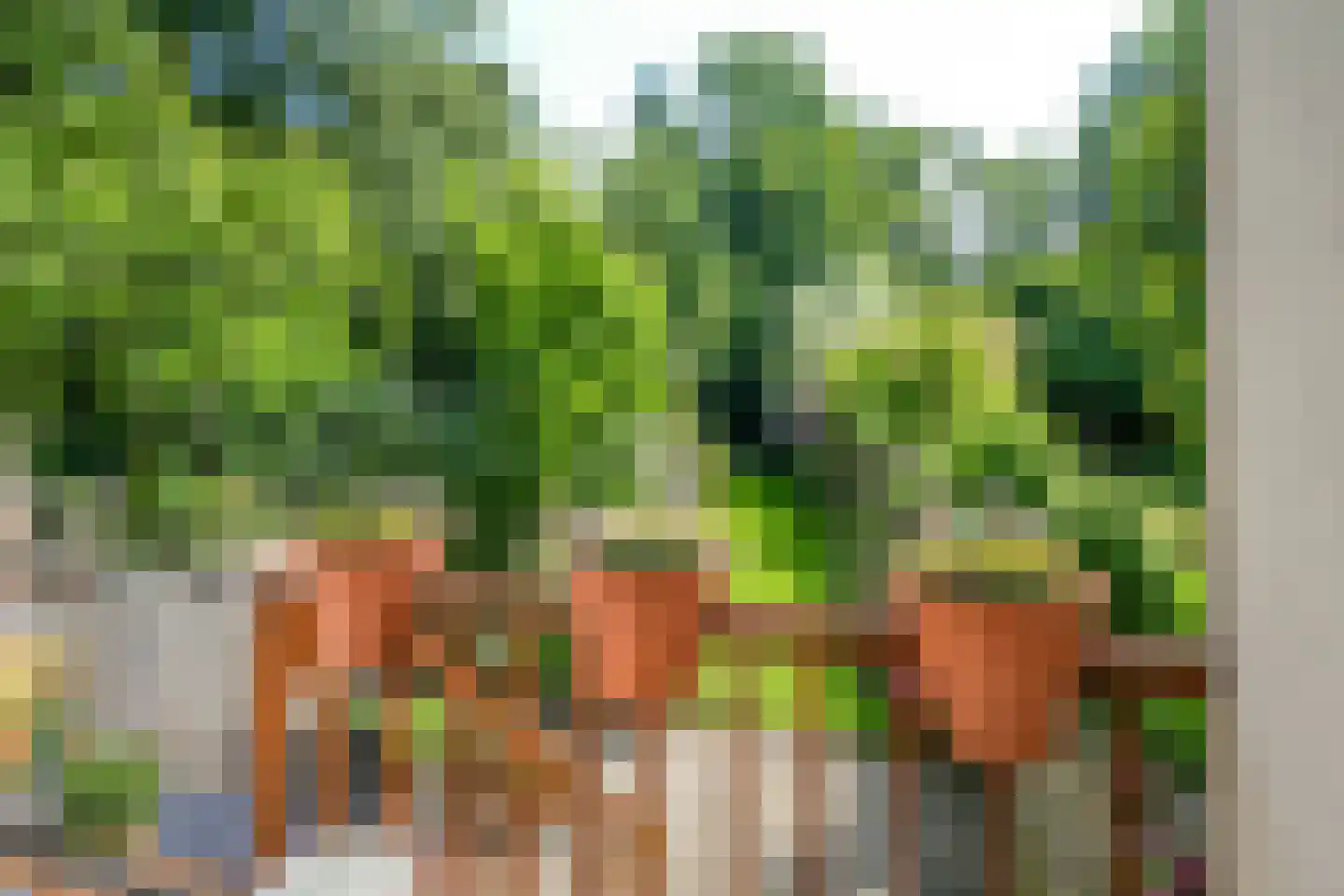 Hordijk 11 Rotterdam thumbnail 27