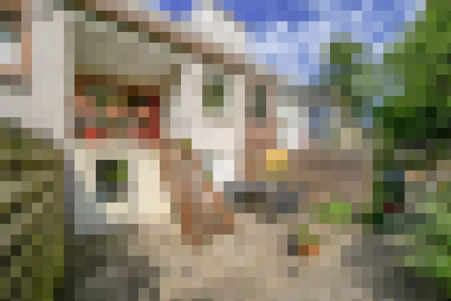 Hordijk 11 Rotterdam thumbnail 29