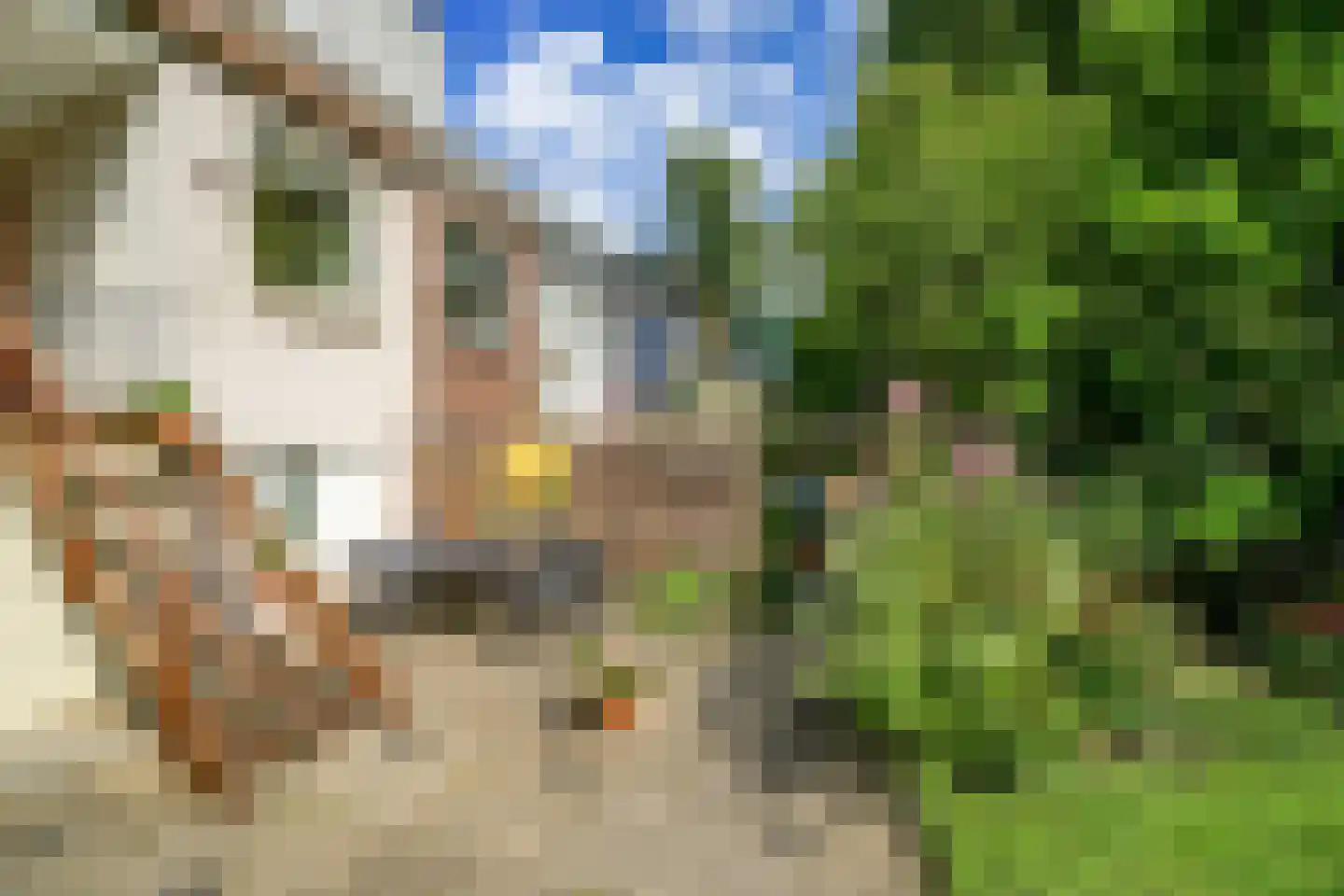 Hordijk 11 Rotterdam thumbnail 31