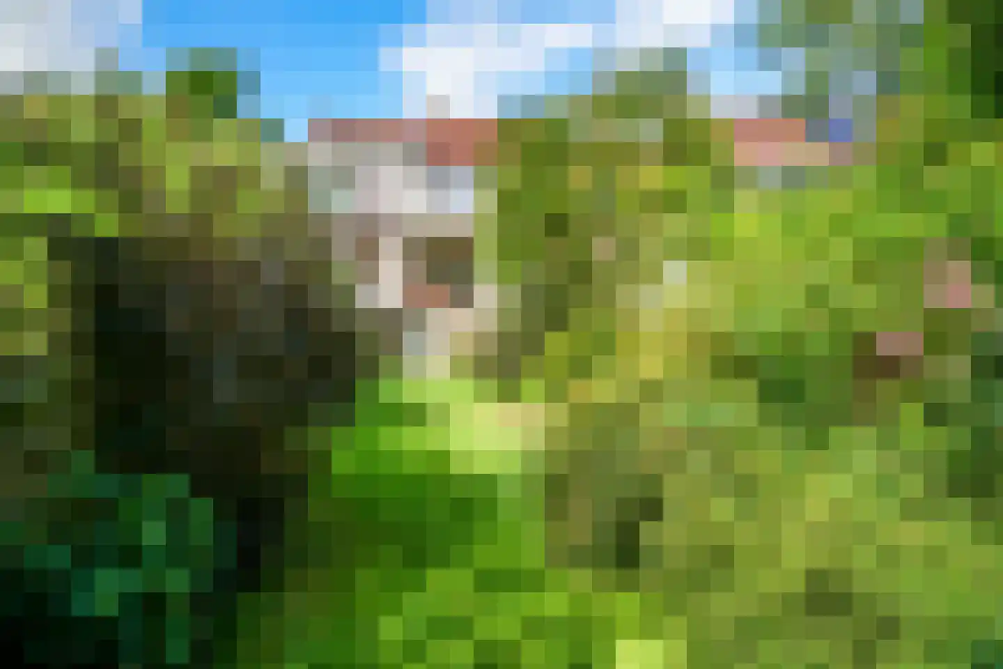 Hordijk 11 Rotterdam thumbnail 32