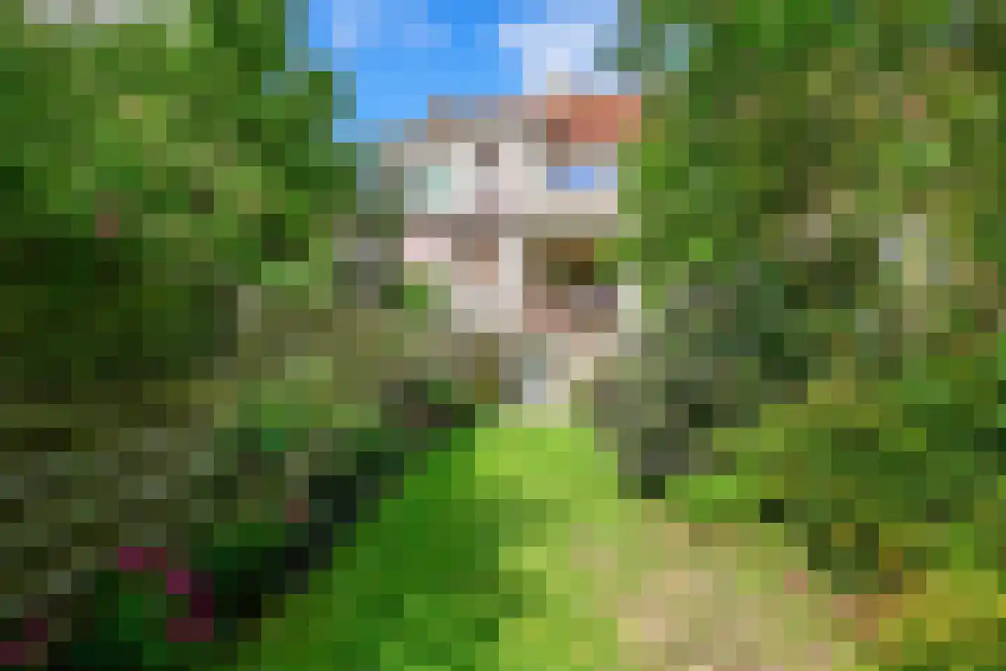 Hordijk 11 Rotterdam thumbnail 33
