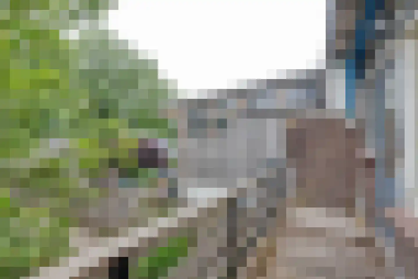 Hordijk 120 Rotterdam thumbnail 13