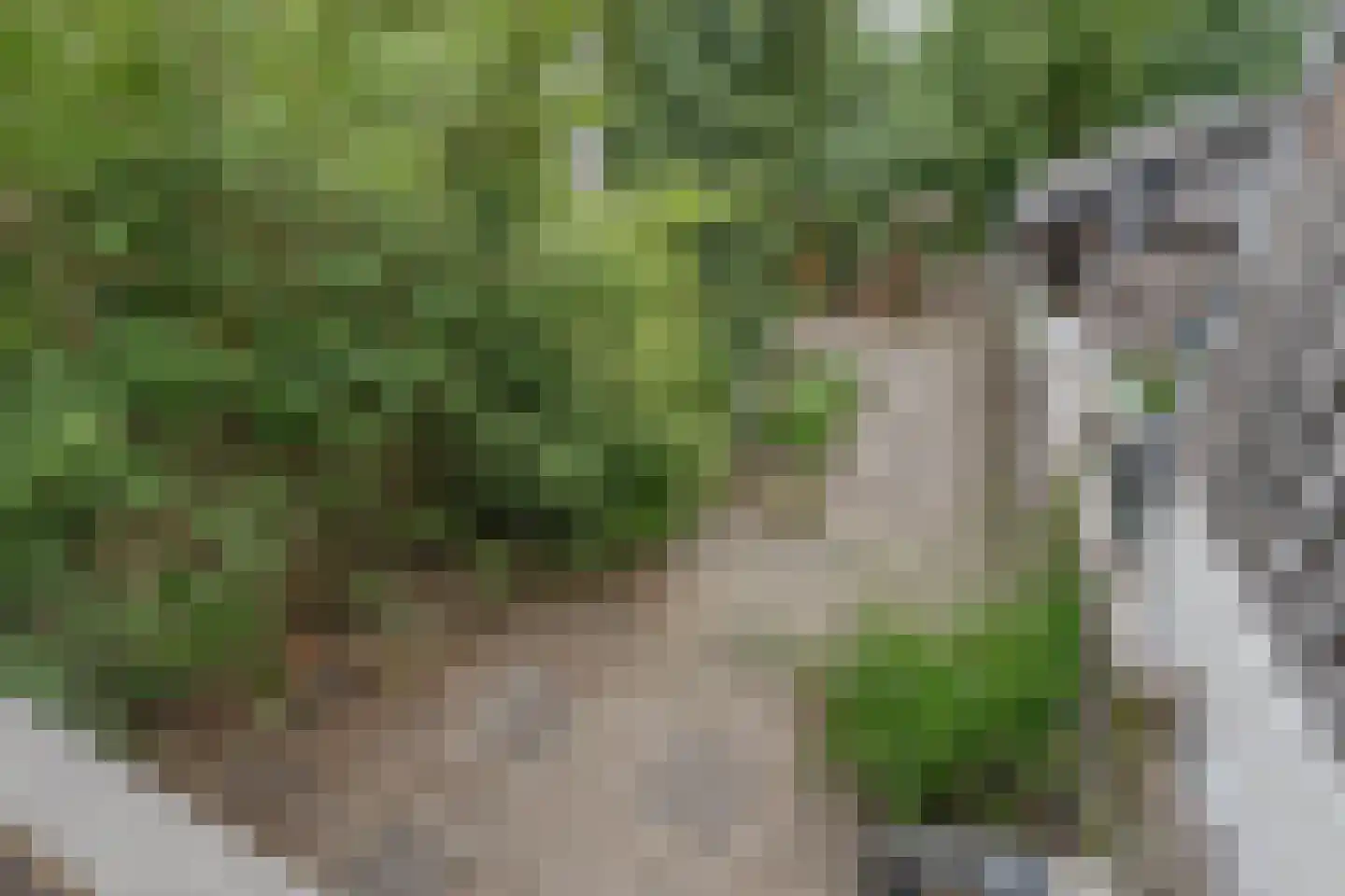 Hordijk 120 Rotterdam thumbnail 14