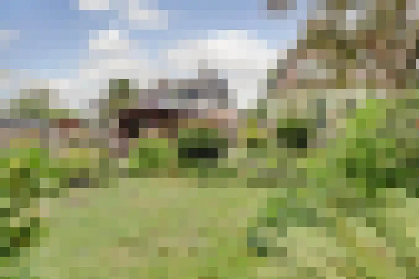 Hordijk 18 Rotterdam thumbnail 30