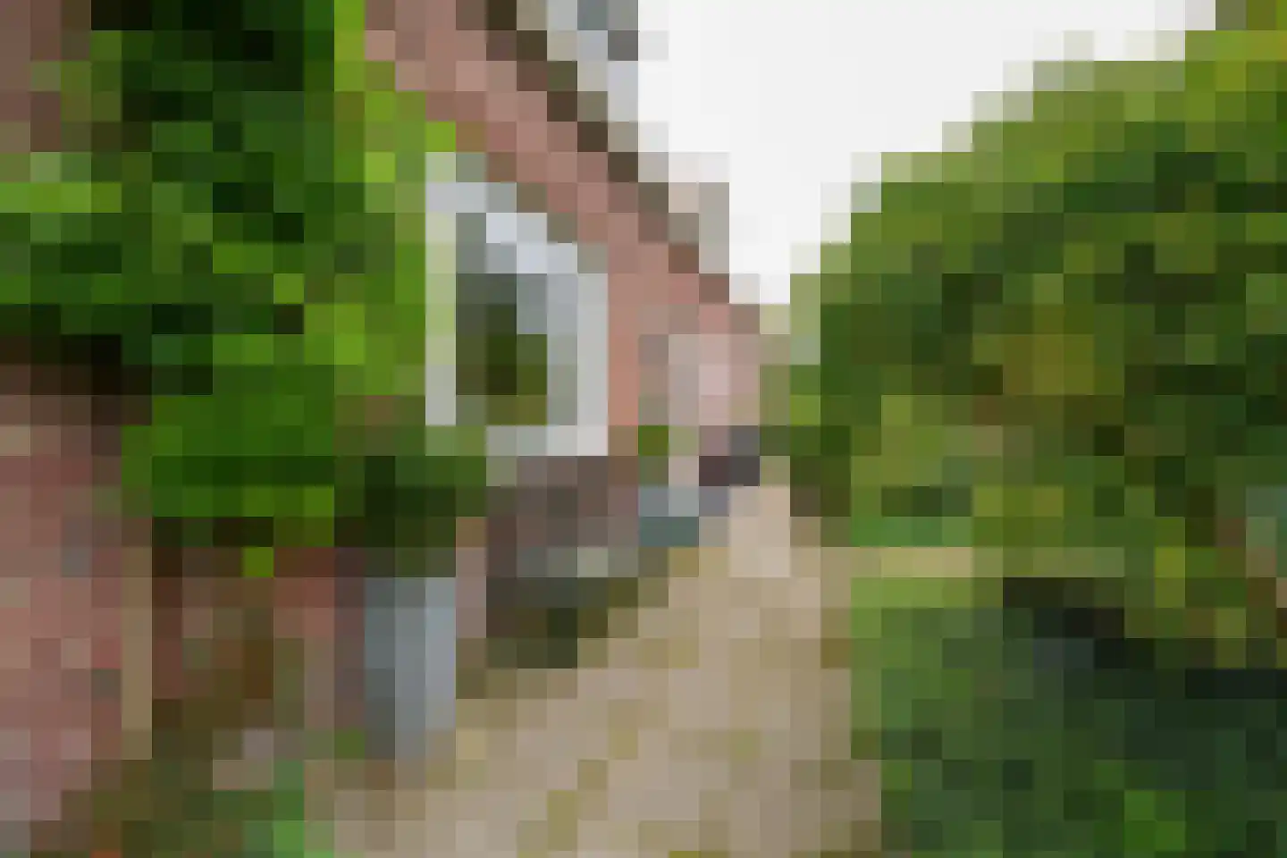 Hordijk 186 Rotterdam thumbnail 4