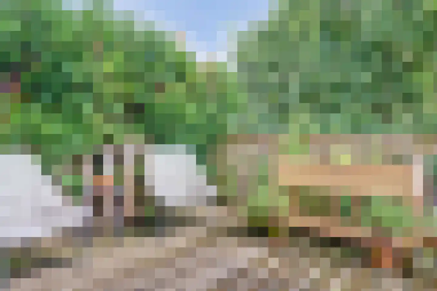 Hordijk 189 Rotterdam thumbnail 19