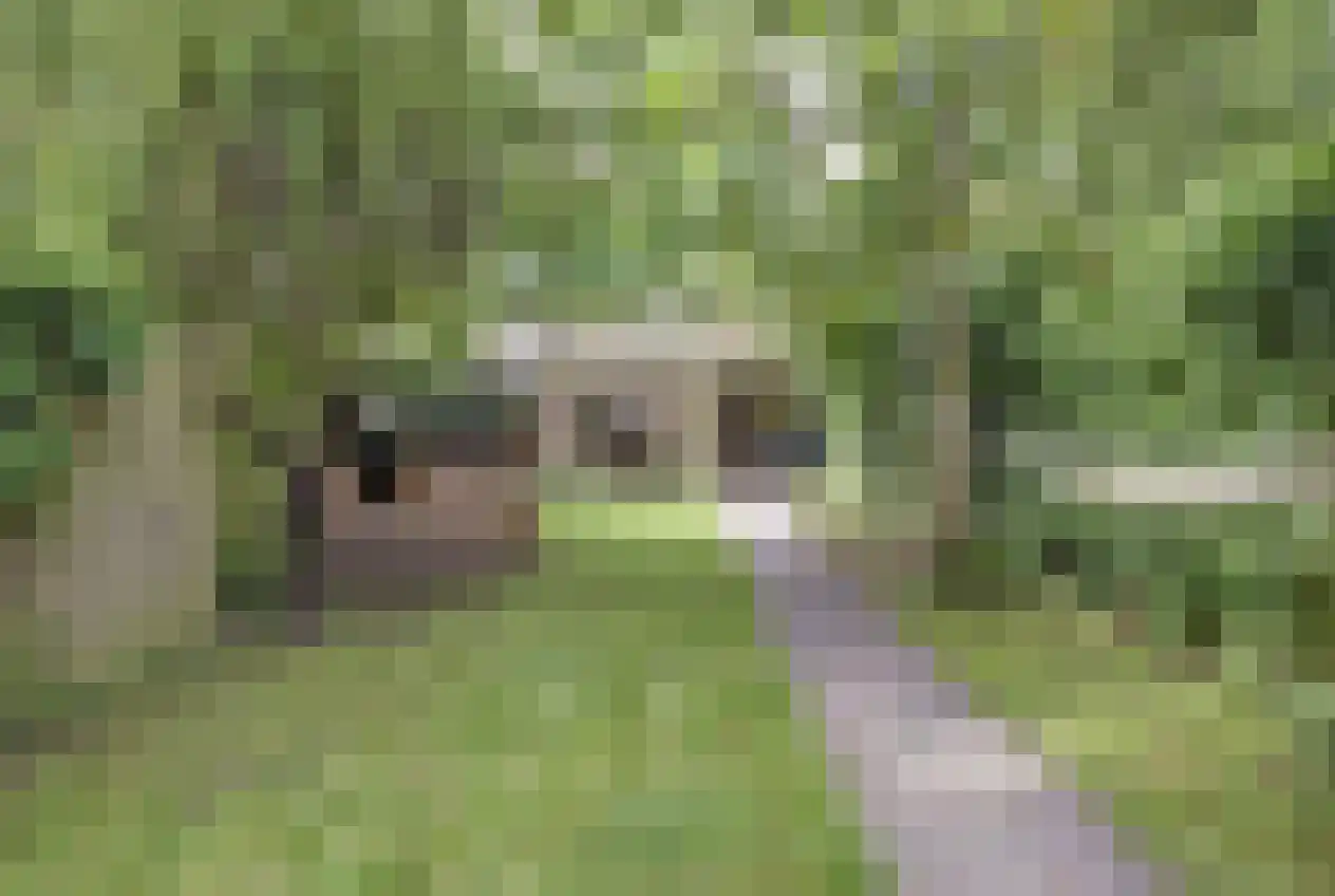 Hordijk 189 Rotterdam thumbnail 4