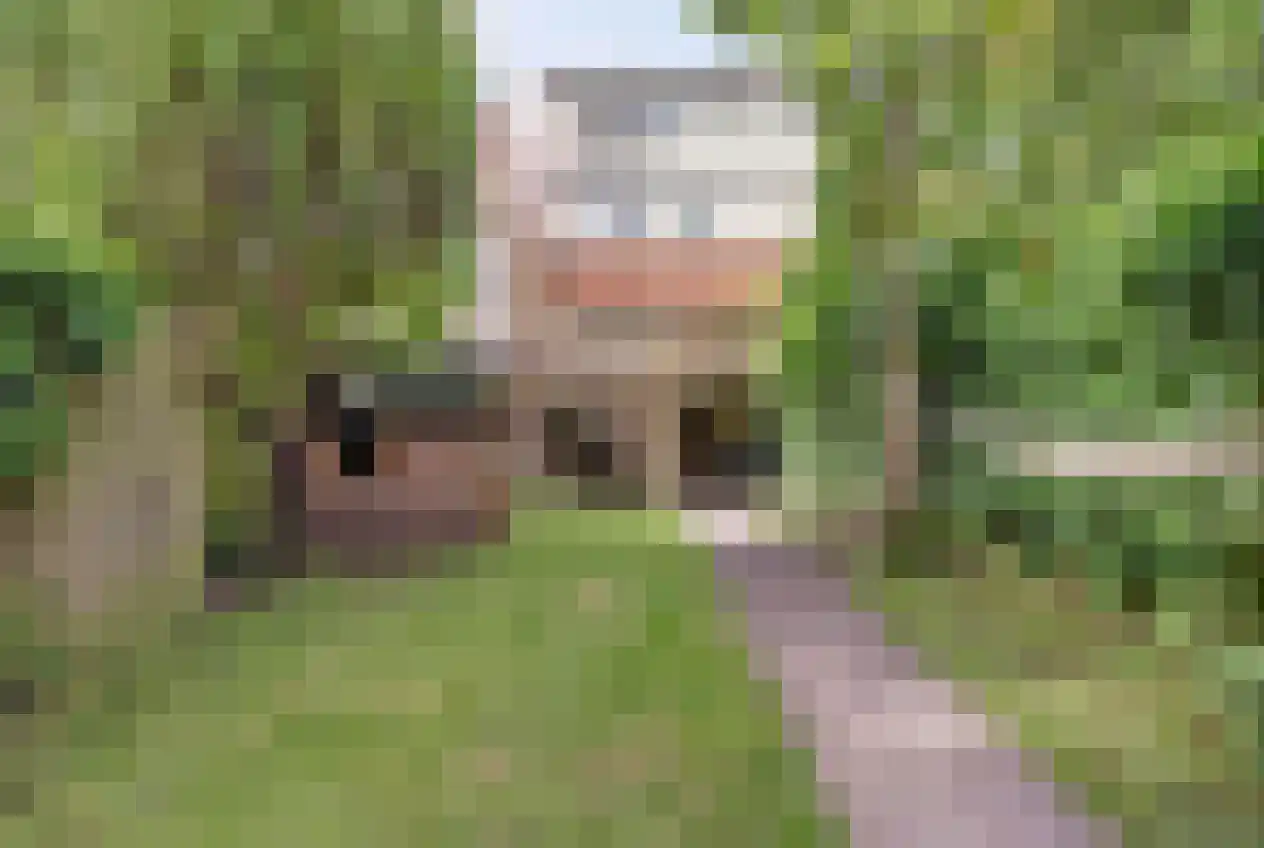 Hordijk 189 Rotterdam thumbnail 46