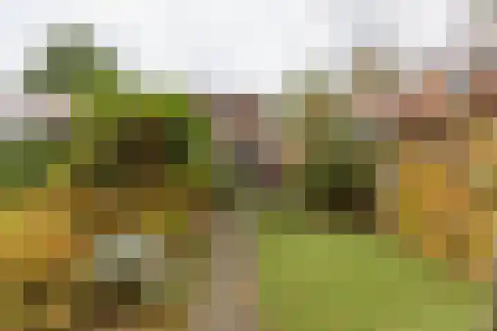 Hordijk 202 Rotterdam thumbnail 36