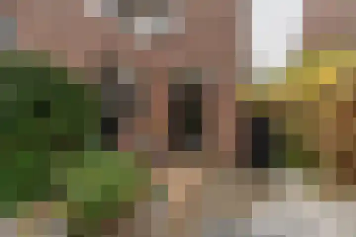 Hordijk 202 Rotterdam thumbnail 40