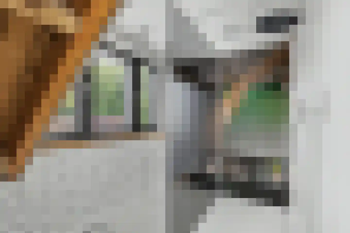 Hordijk 238 Rotterdam thumbnail 33