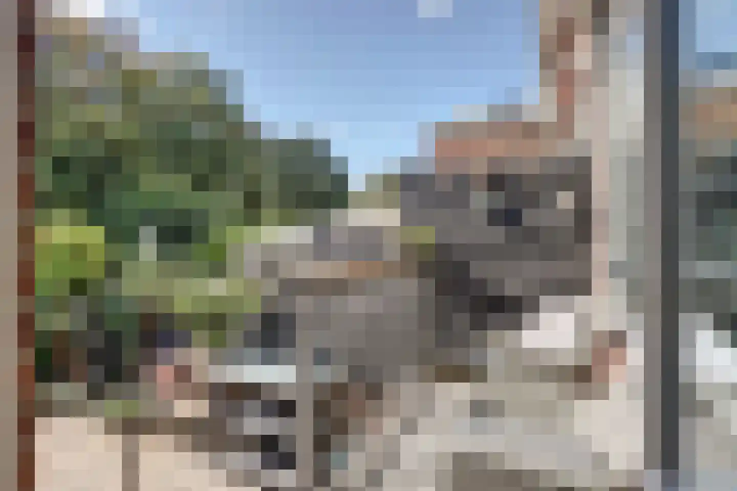 Hordijk 250 Rotterdam thumbnail 28