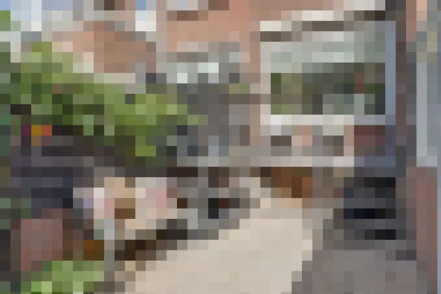 Hordijk 250 Rotterdam thumbnail 29