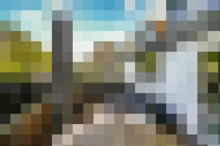 Hordijk 276 Rotterdam thumbnail 26