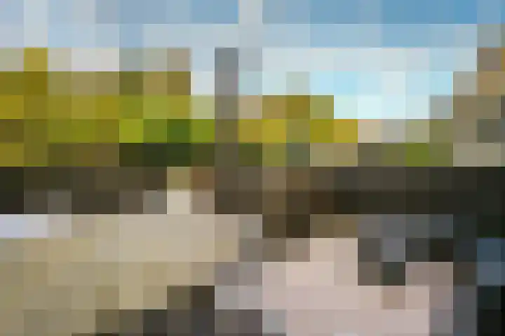Hordijk 276 Rotterdam thumbnail 28