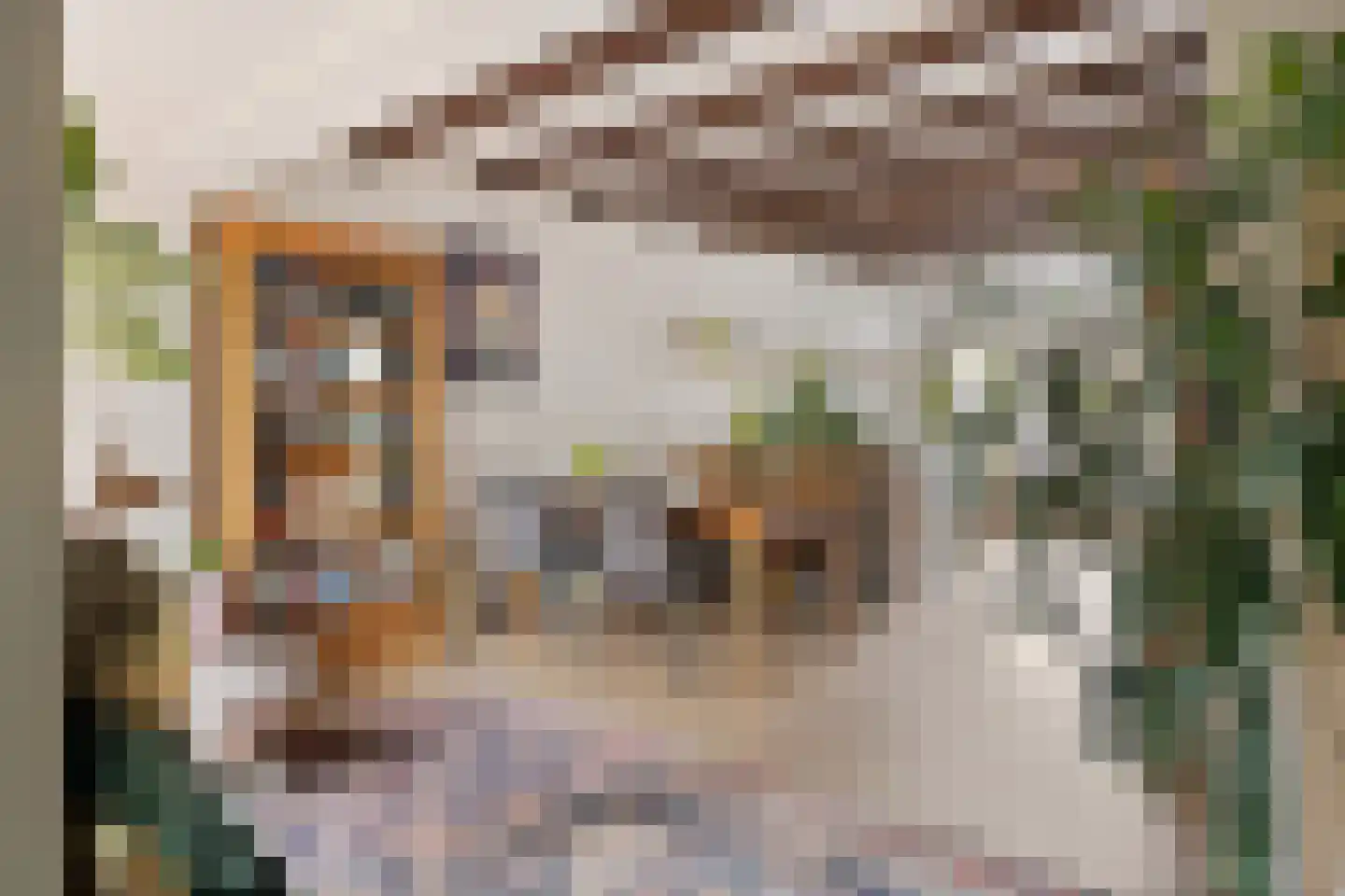 Hordijk 3 Rotterdam thumbnail 17